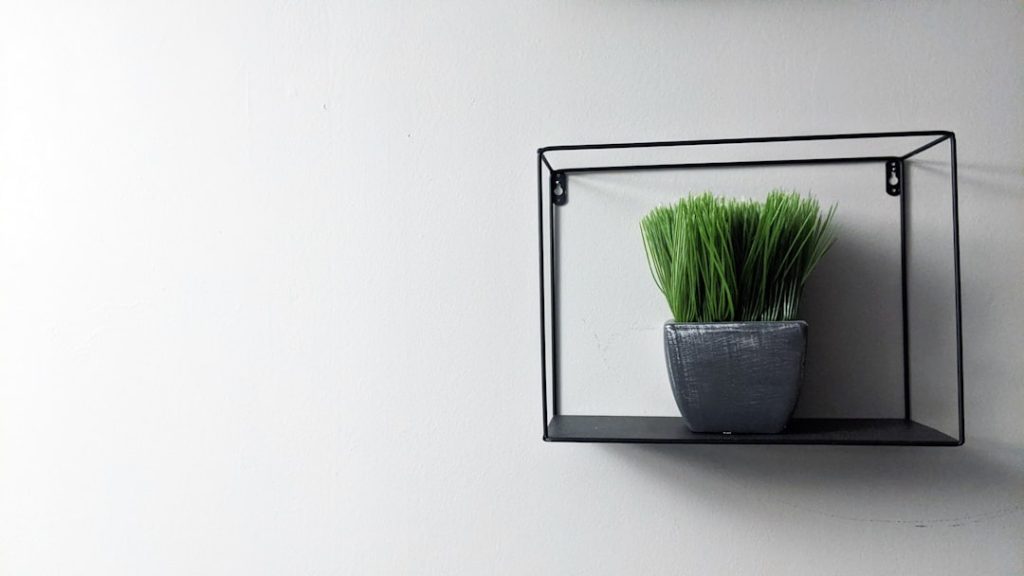 green-plant-on-black-round-pot-d4upqo9epe8