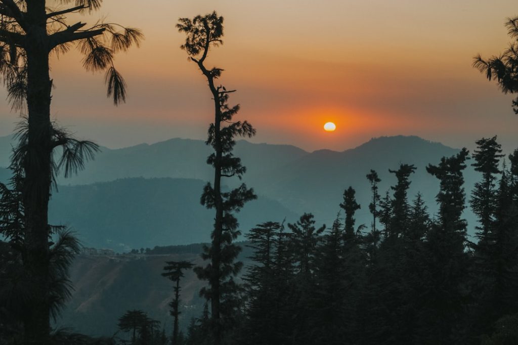 green-trees-on-mountain-during-sunset-fohoctdmvyu